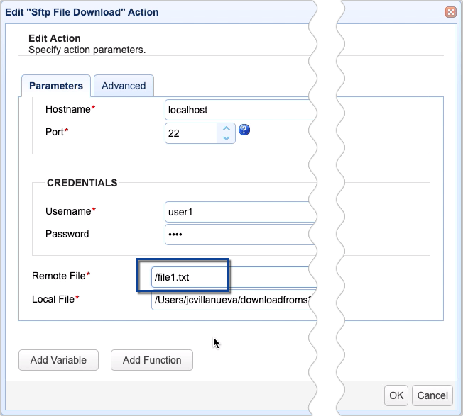 modified remote file in sftp file download
